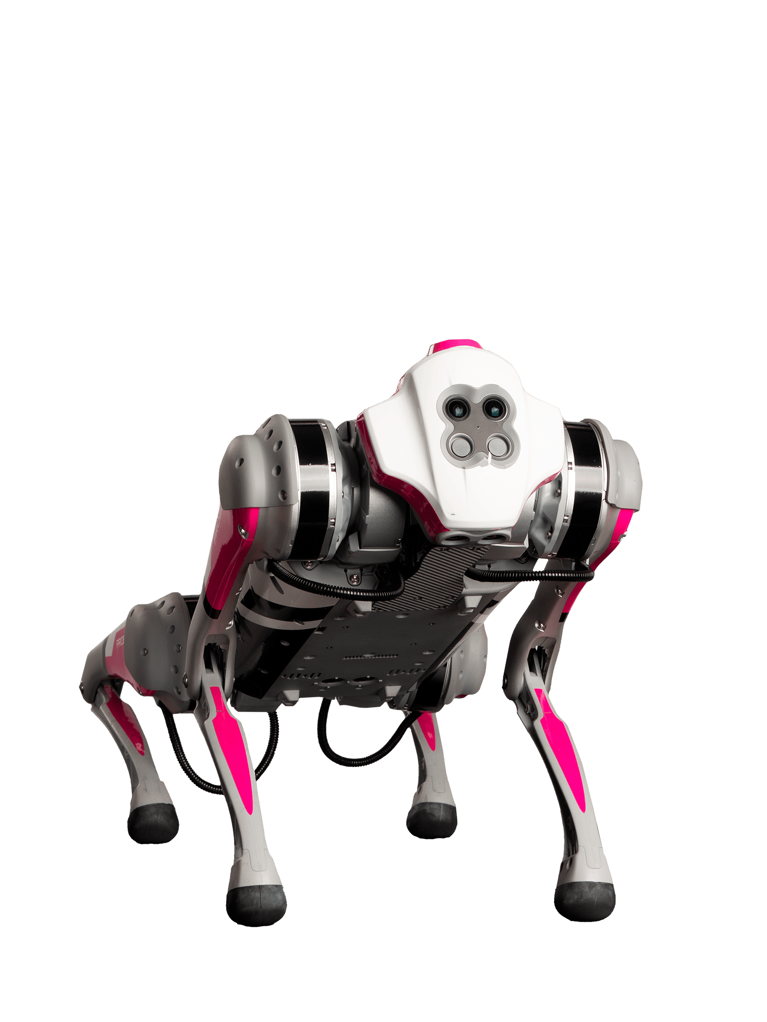 Robot dog BadProbotDog Probot Oy