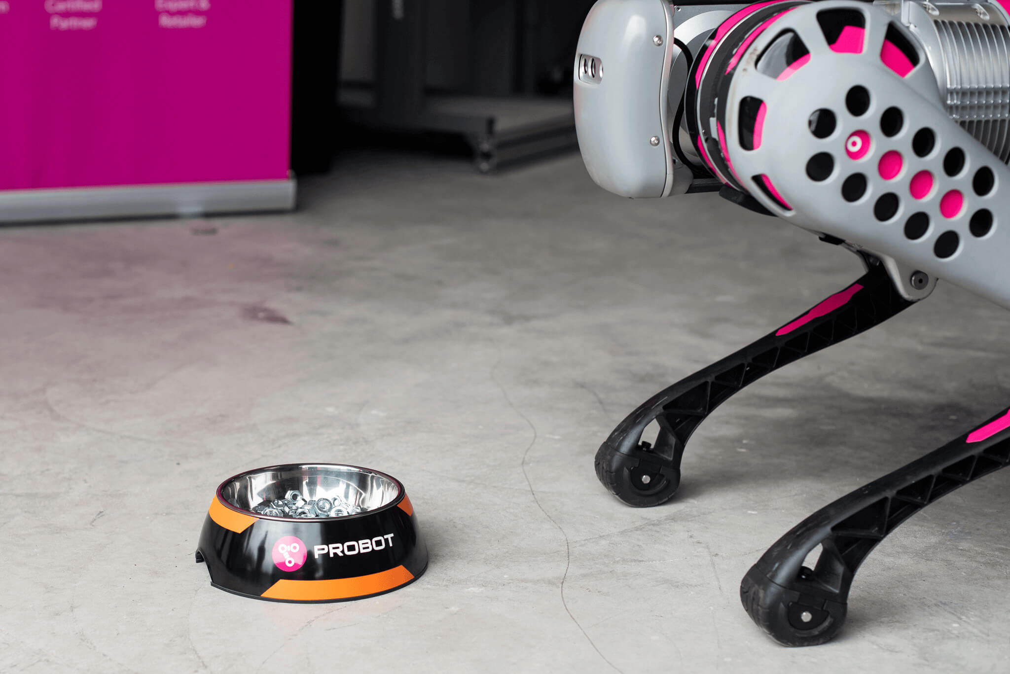 Dog food bowl with screws. A large robot dog looks at the cup from the edge of the picture.