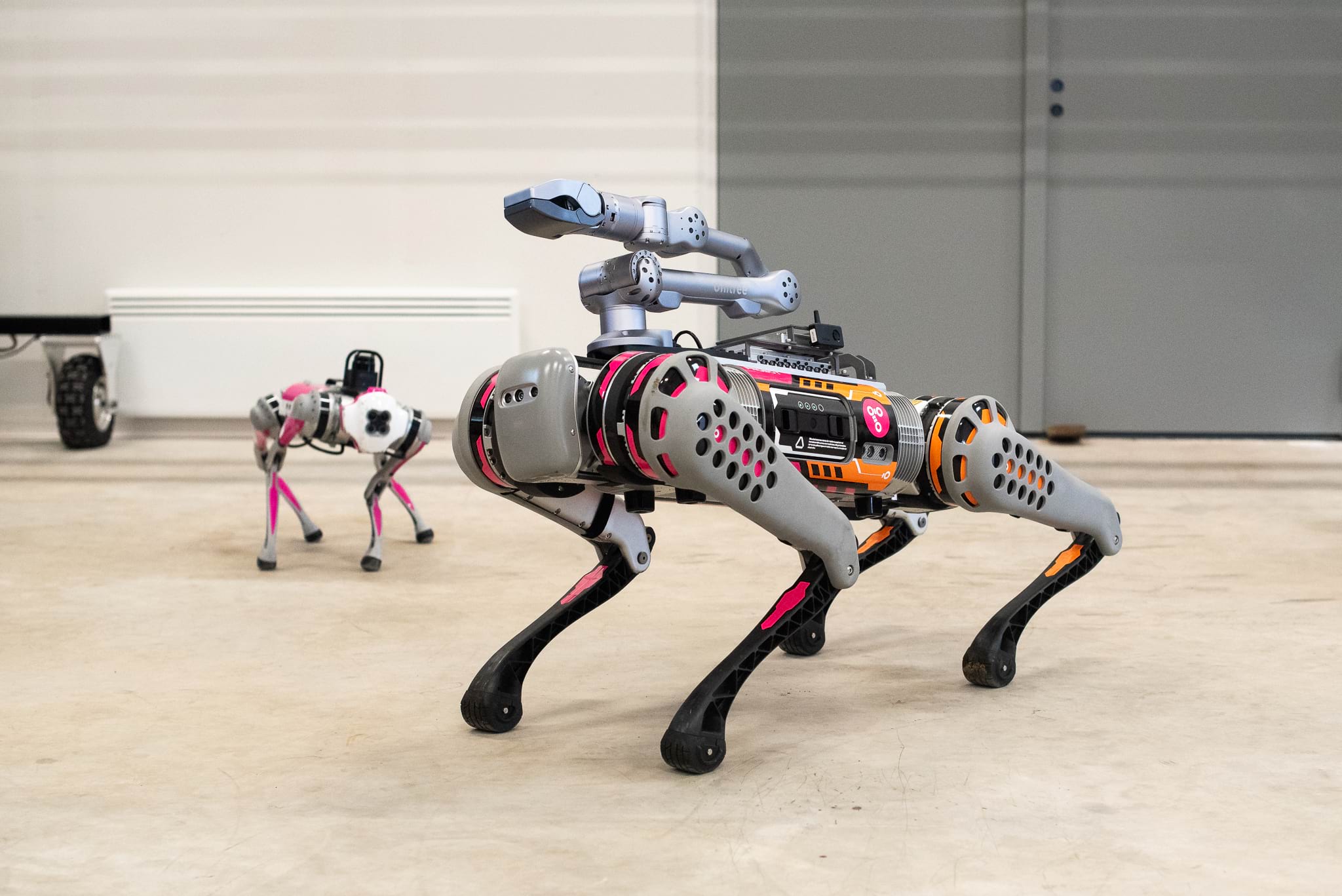 There is a big robot dog with a robotic arm in front of the picture. On the background there is a smaller robot dog.