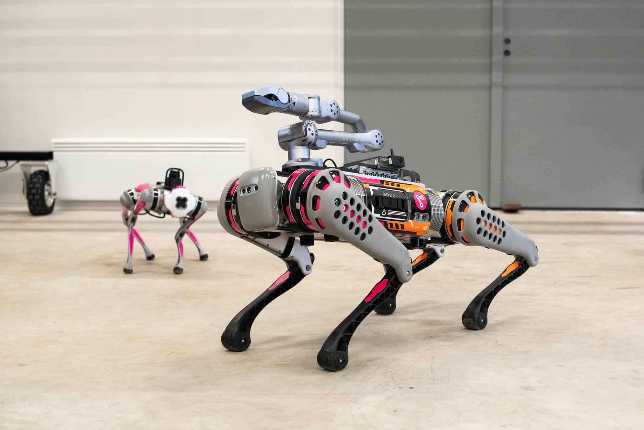 There is a big robot dog with a robotic arm in front of the picture. On the background there is a smaller robot dog.