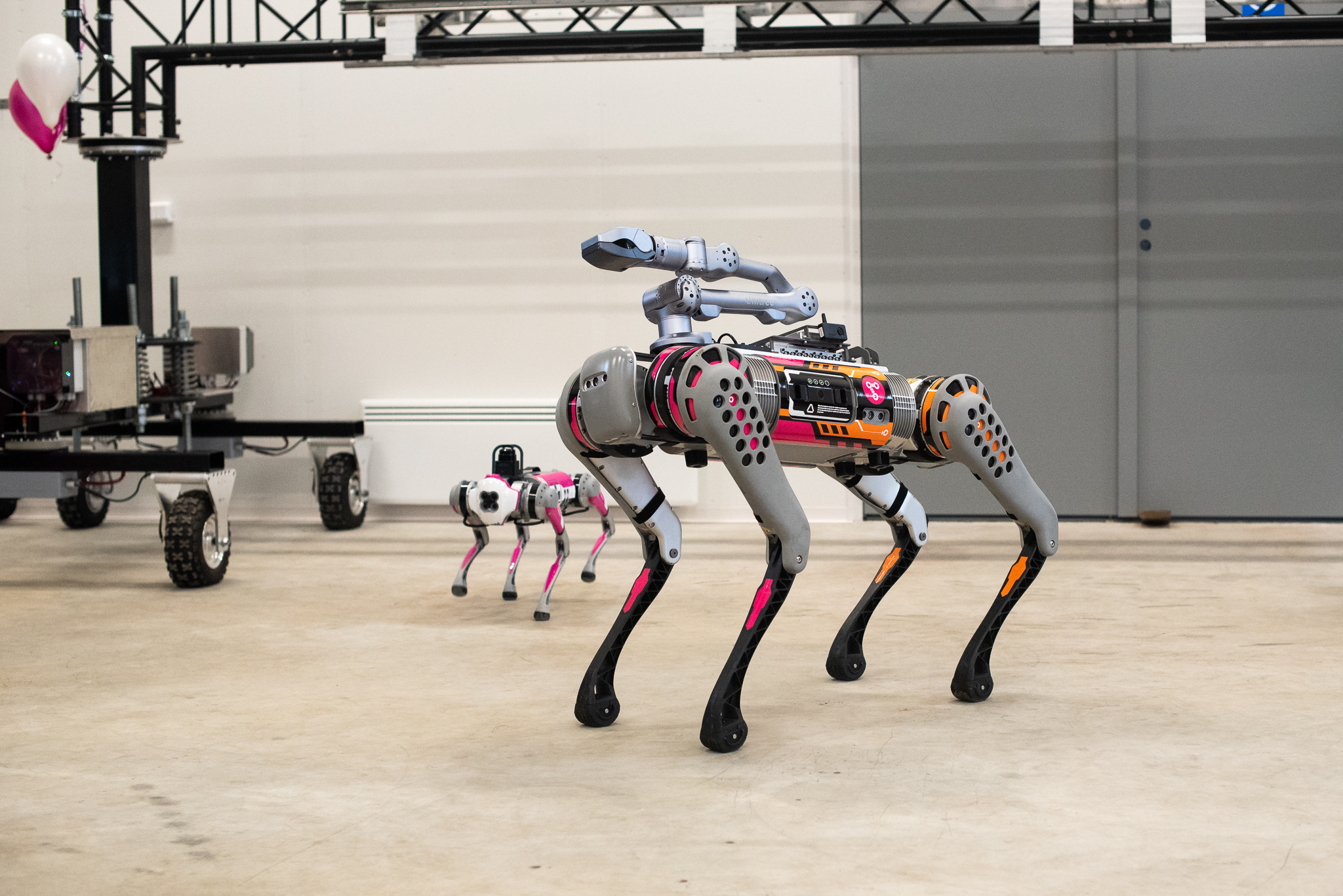 A large robotic dog with a robotic arm attached to its back. A small robot dog in the background.