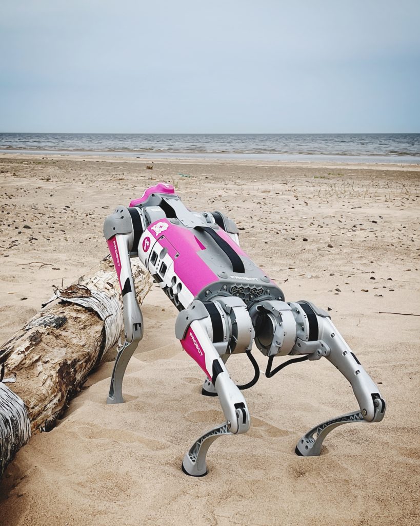 Robot dog stands in the sand looking at the ocean.