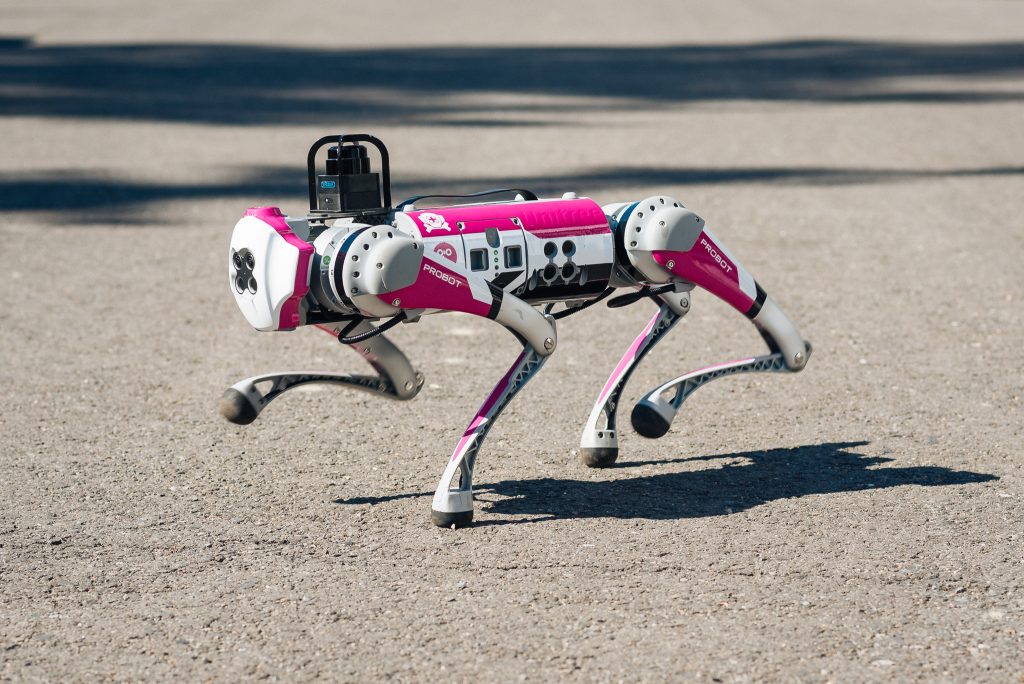 Robot dog running outside.