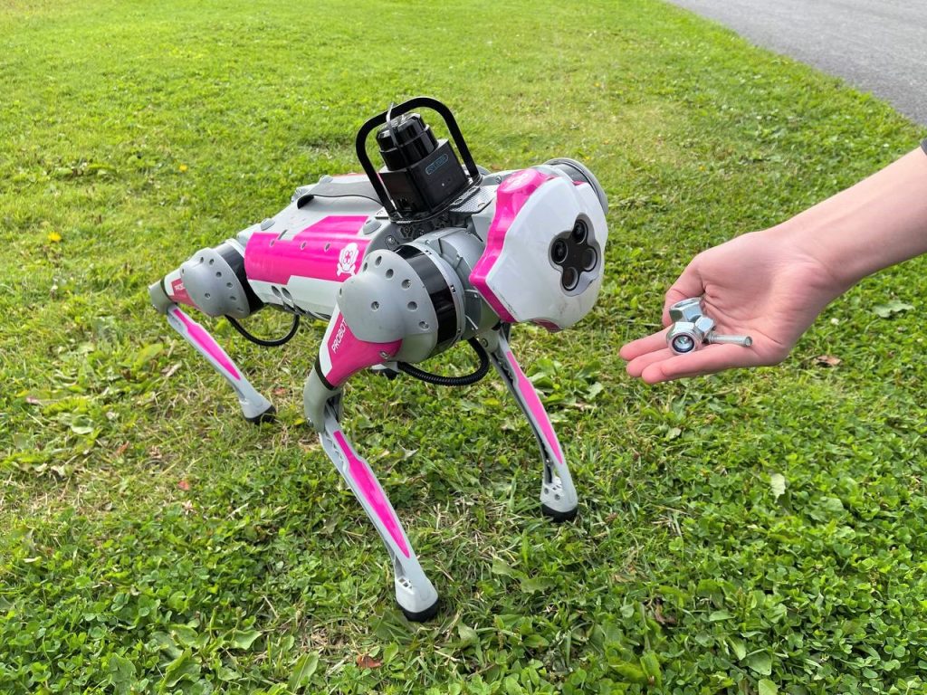 A robot dog stands on the grass and a human offers it a hand with nuts - 10 most frequently asked questions about the robot dog