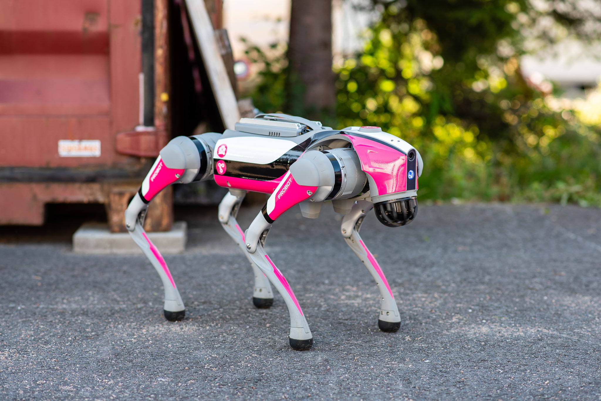 The robot dog stands in an industrial area.