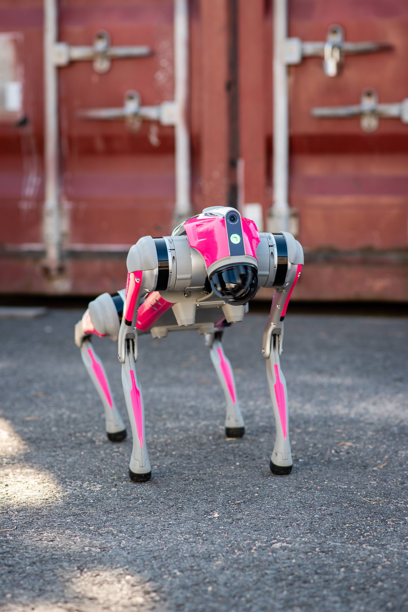 The robot dog stands in an industrial area, looking towards the camera.