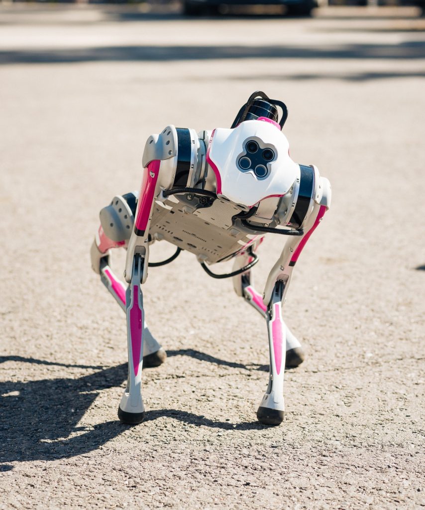 Robot dog posing outdoors.